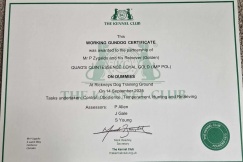 d94e8e71c393f08e762e306b55915564_243