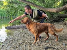 d9550311abd950ff4b1ede56497e912e_232x174_fill