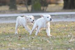 d9625ccbf7f1f31f1a837c393ca1a9ce_245