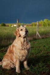 d9933531c39e05b7b594e1832039156e_164x246_fill