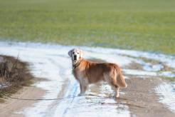 d9a28996408db11e949f5274beb8655a_246x164_fill