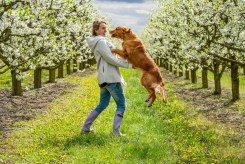 d9d19b1cdaf1d9f4e6e839e24df55e08_245