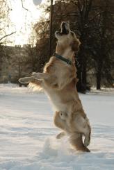 d9e06c0889b87129e620ab912beceea6_164x245