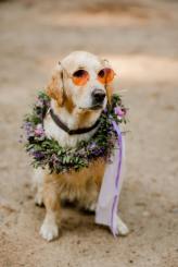 d9ff4f59dc293711edee556b3ac0dafa_164x245