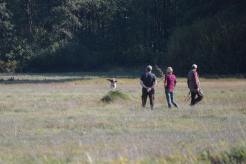 da1d0301c7ba63a2d4c1d3341e67aa0b_246