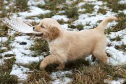 da2d2f7d6e289703841ec6e9fe95c5bd_246