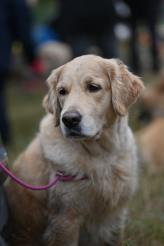 da366020d2c30676c55e6fdbcceb32f9_164x246