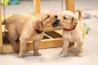 da6613742469aa305188a887947327fc_195x130_fill