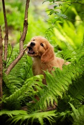 da8c29db9e69db99395e3230ad0ddaed_164x245