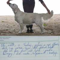 daa5c81712dc36e79105485614030d7f_200x200_fill