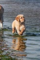 dac918480b1d75f3e8864f6c02f73d4f_164x246