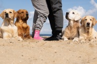 dafdf9c1755306f8c1404e1387a3c8b5_195