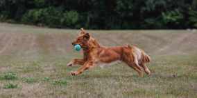 db0e7a14fb0e977ddfa0242656301f4e_284x142_fill