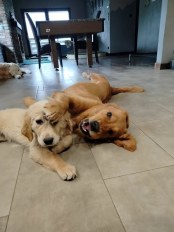 db582a8f4005b17504526bafc489cc44_174x232_fill