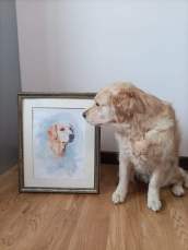 db7a1eec33fad27f91a8d7307dd725f4_172x229