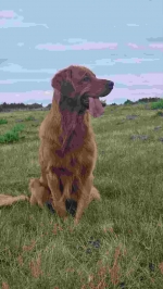 dbfda967b79f4d1e6dce29ce40322570_150x266