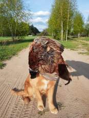 dbfe73bdfb726b884952e81696391a64_174x232_fill