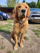 dc00e07ee23c889c846f2f517a9c2f22_138x184_fill