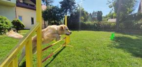 dc0b1e13677867ccbeedb51758dcce50_291