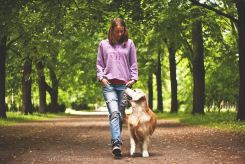 dc28bc699cb554e230bbb810694537b3_245