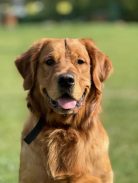 dc29c2e89ee7595cbb0d032deaa82195_138x183