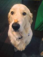 dcc41cbb06d65fd85d5f30e744b12827_174x232_fill