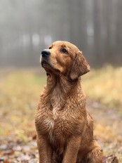 dcd256c74e35e2c487f19d280e0fc6ad_174x232_fill