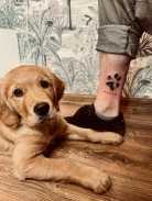 dce9ea67e2590eaf0ba0a313860eb57d_138x183