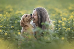 dd1ac0aa96f085cd1b7d2375370c35f9_246