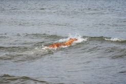 dd2d9edb51f1843dc7ededd86325bde3_246