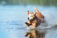 ddbd41f766483d660c3dcb96dcab8b57_246