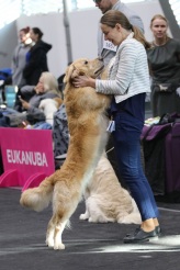 ddfc82b2d277773c2c9ae12305324f01_164x246_fill