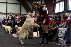 ddfd76c74e7ffbd8d53e6463991c3732_245