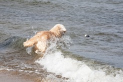 ddfe4e67f83d5b8b258e1a1205bfd258_246