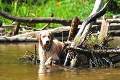 de13353c3600ab8ab6ccf5606e5af301_246