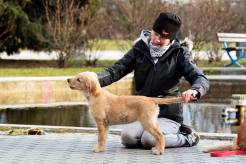 de76f6c36b05158b6816d315e146a922_246x164_fill