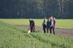 de776c7b897a1e299f4a66cf528872e3_246