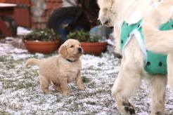 de88308786779f879be1bd90ea6874a4_246x164_fill