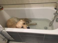 deccd057383ab5dd531ccfbf6cb626be_232x174_fill