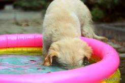 dee6d761f755a4632cf38d871e34f4ff_246x164_fill