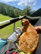 def043cdfc7dddc91e94742c1324889a_138x184_fill