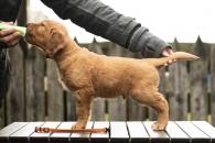 df022d78c3e94c4321ea3ae4064469f0_195x130_fill