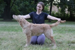 df0e26ee20c487e1e2fffb52c97cbb5e_246