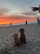 df12308d08d42c91d848162a1059e68d_138x184_fill