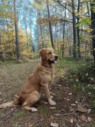 dfa298dcbccfc221af851d0002cd4d7e_138x184_fill