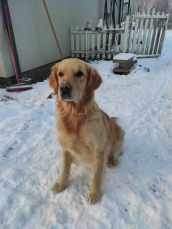 e0169a848b31f80e04337615a2fabc1c_172x229