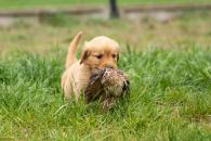 e047c8bfcfb06513c3d124e945e52e1e_195