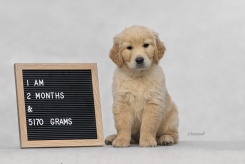 e04f04aa324e17f6eb5955569ed2da27_245