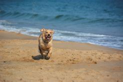 e08932653b7a8426d7c216d0c38a42c0_246