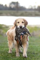 e094efa969ec3d3ec328703dcc4fe9ba_164x245